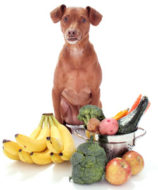 10 Healthy Vegetables for Dogs