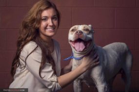 Pit Bull Rescue Stories