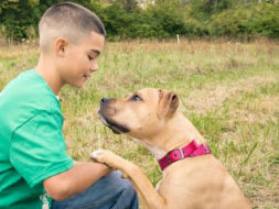 Ember the life saving Pit Bull and Tre...