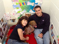 Life Saving Heroic Pit Bulls