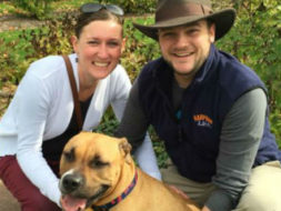 Life Saving Pit Bulls