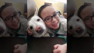 http://a57.foxnews.com/images.foxnews.com/content/fox-news/lifestyle/2018/08/11/illinois-family-destroyed-after-dog-mistakenly-euthanized-how-could-this-happen/_jcr_content/article-text/article-par-14/inline_spotlight_ima/image.img.jpg/612/344/1534008327765.jpg?ve=1&tl=1