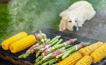 Can Dogs Eat Asparagus?