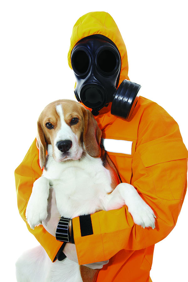 Why Does My Dog Stink? Dogs Love Us More