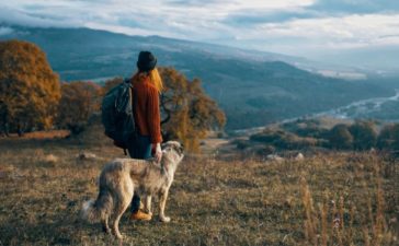 How To Plan a Hiking Getaway With Your Dog