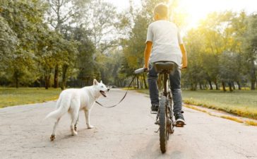 Fun Ways to Work Out With Your Dog This Summer