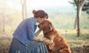 Part of the Pack: Ways of Knowing Your Dog Trusts You