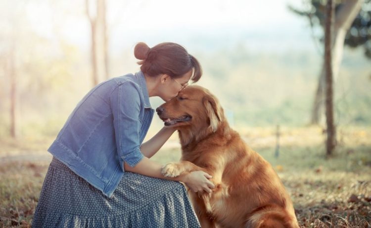 Part of the Pack: Ways of Knowing Your Dog Trusts You